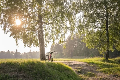 Radsport in der Ostschweiz